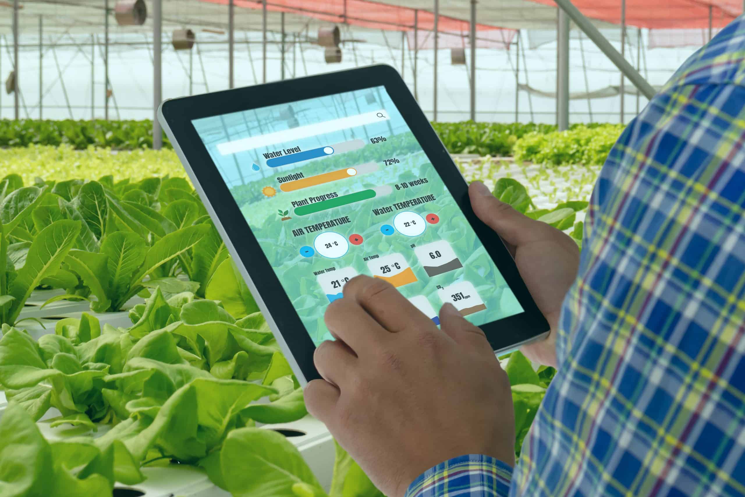 Iot,smart,industry,robot,4.0,agriculture,concept,industrial,agronomist,farmer,using,tablet